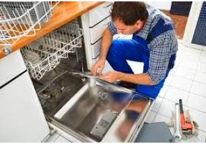 Мелкий ремонт посудомоечной машины